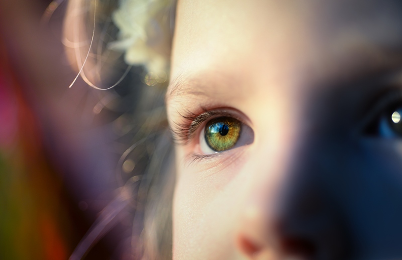 Educar la mirada para sacar del cine todo el mensaje